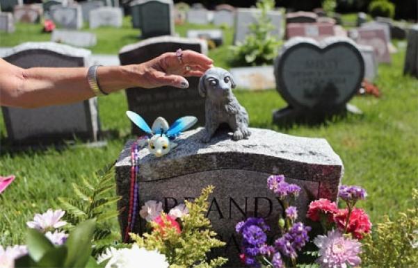 У сусідів з почестями, у нас - під ногами: хмельничани влаштували кладовище для тварин у Дендропарку, фото №5 на сайті vsim.ua