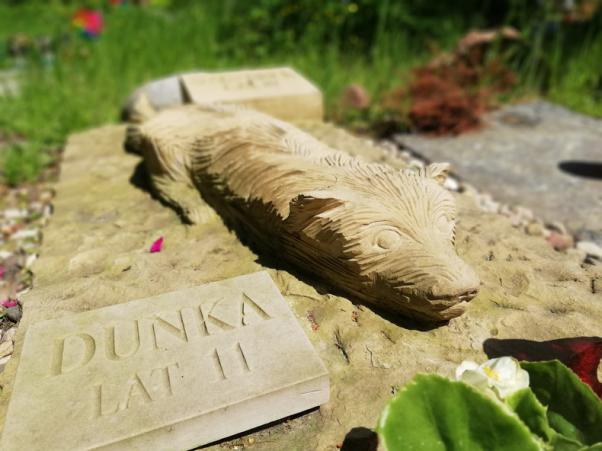 У сусідів з почестями, у нас - під ногами: хмельничани влаштували кладовище для тварин у Дендропарку, фото №8 на сайті vsim.ua