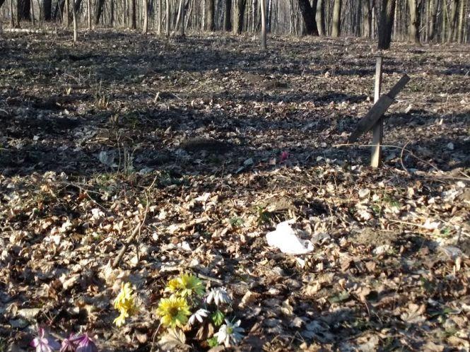 У сусідів з почестями, у нас - під ногами: хмельничани влаштували кладовище для тварин у Дендропарку, фото №1 на сайті vsim.ua