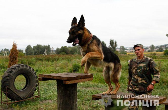 Ножем в шию. На Хмельниччині чоловік зарізав свого односельця, фото №1 на сайті vsim.ua