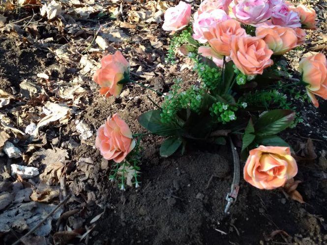 У сусідів з почестями, у нас - під ногами: хмельничани влаштували кладовище для тварин у Дендропарку, фото №2 на сайті vsim.ua