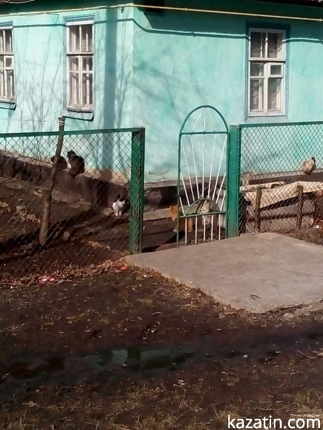 Козятин 7 березня— по-весняному, фото №4 на сайті 20minut.ua