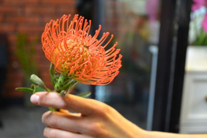 Новини Вінниці - фото з Квіти за ціною золота: скільки коштуватиме букет до 8-го березня у Вінниці Квіти за ціною золота: скільки коштуватиме букет до 8-го березня у Вінниці, фото №4 на сайті 20minut.ua