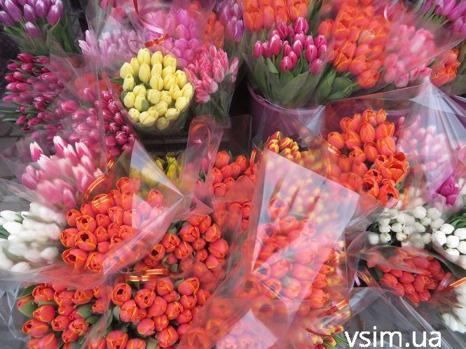 Новини Хмельницького - фото з Біля “Либідь Плази” запрацював квітковий ярмарок: що і за скільки продають Біля “Либідь Плази” запрацював квітковий ярмарок: що і за скільки продають, фото №2 на сайті vsim.ua