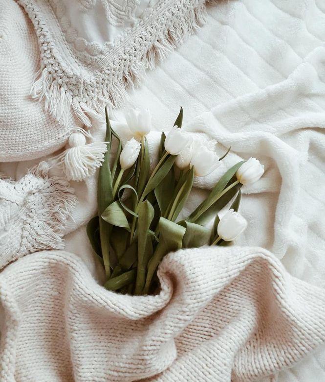 Новини Тернополя - фото з Тюльпани і подарунки: ТОП-10 святкових фото, які тернополянки опублікували в Instagram Тюльпани і подарунки: ТОП-10 святкових фото, які тернополянки опублікували в Instagram, фото №8 на сайті 20minut.ua