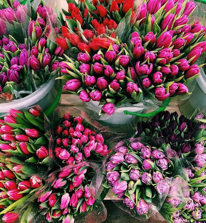 Новини Тернополя - фото з Тюльпани і подарунки: ТОП-10 святкових фото, які тернополянки опублікували в Instagram Тюльпани і подарунки: ТОП-10 святкових фото, які тернополянки опублікували в Instagram, фото №6 на сайті 20minut.ua