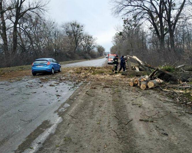 Новини Хмельницького - фото з На Хмельниччині через сильний вітер дерево впало на трасу та перекрило рух На Хмельниччині через сильний вітер дерево впало на трасу та перекрило рух, фото №2 на сайті vsim.ua