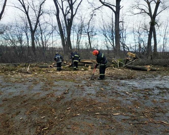 Новини Кам'янця-Подільського - фото з Надзвичайники прибрали дерево, що впало на дорогу (ФОТО+ВІДЕО) Надзвичайники прибрали дерево, що впало на дорогу (ФОТО+ВІДЕО), фото №2 на сайті 20minut.ua