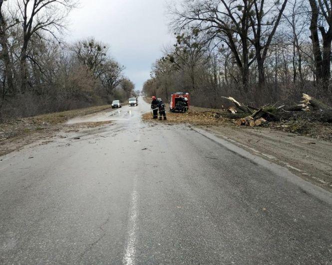 Новини Хмельницького - фото з На Хмельниччині через сильний вітер дерево впало на трасу та перекрило рух На Хмельниччині через сильний вітер дерево впало на трасу та перекрило рух, фото №3 на сайті vsim.ua