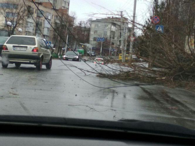 Новини Вінниці - фото з У Вінниці бушує ураганний вітер: зриває знаки та перевертає світлофори У Вінниці бушує ураганний вітер: зриває знаки та перевертає світлофори, фото №2 на сайті 20minut.ua