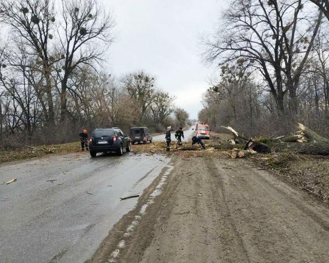Новини Хмельницького - фото з На Хмельниччині через сильний вітер дерево впало на трасу та перекрило рух На Хмельниччині через сильний вітер дерево впало на трасу та перекрило рух, фото №1 на сайті vsim.ua