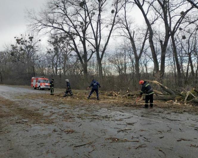 Новини Кам'янця-Подільського - фото з Надзвичайники прибрали дерево, що впало на дорогу (ФОТО+ВІДЕО) Надзвичайники прибрали дерево, що впало на дорогу (ФОТО+ВІДЕО), фото №4 на сайті 20minut.ua