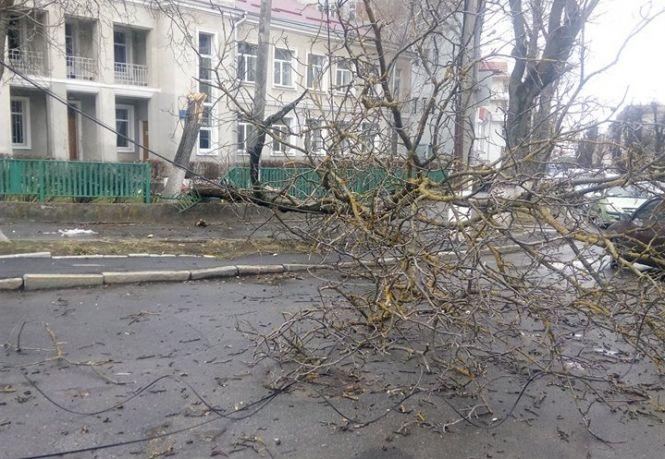 Новини Хмельницького - фото з Повалені дерева і зірвані дахи: що наробила негода на Хмельниччині Повалені дерева і зірвані дахи: що наробила негода на Хмельниччині, фото №3 на сайті vsim.ua