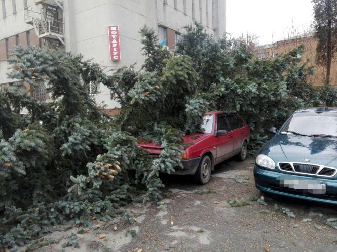 Новини Хмельницького - фото з Повалені дерева і зірвані дахи: що наробила негода на Хмельниччині Повалені дерева і зірвані дахи: що наробила негода на Хмельниччині, фото №7 на сайті vsim.ua