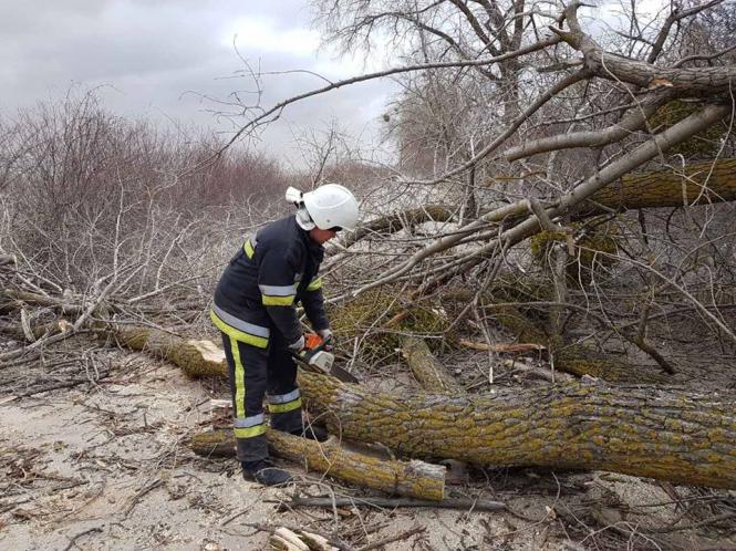 Новини Кам'янця-Подільського - фото з Фотофакт: дерево перекрило дорожній рух у селі Вербки Фотофакт: дерево перекрило дорожній рух у селі Вербки, фото №1 на сайті 20minut.ua
