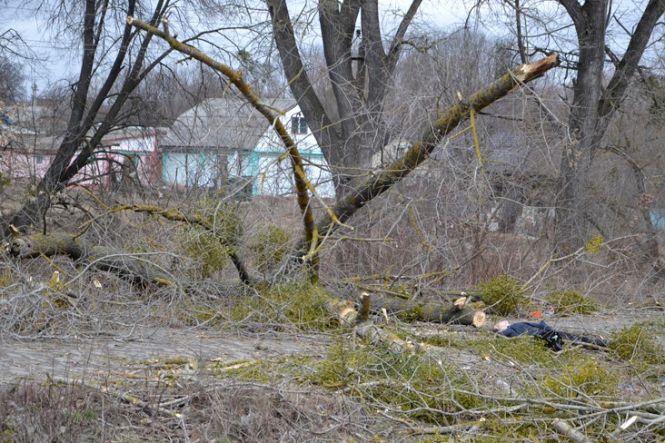 Трагедія в Хмільнику: через шквальний вітер загинула жінка, фото №2 на сайті 20minut.ua