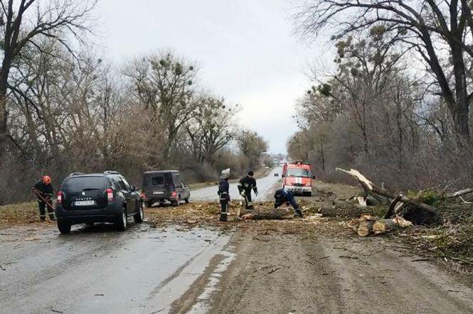 Новини Хмельницького - фото з Повалені дерева і зірвані дахи: що наробила негода на Хмельниччині Повалені дерева і зірвані дахи: що наробила негода на Хмельниччині, фото №1 на сайті vsim.ua