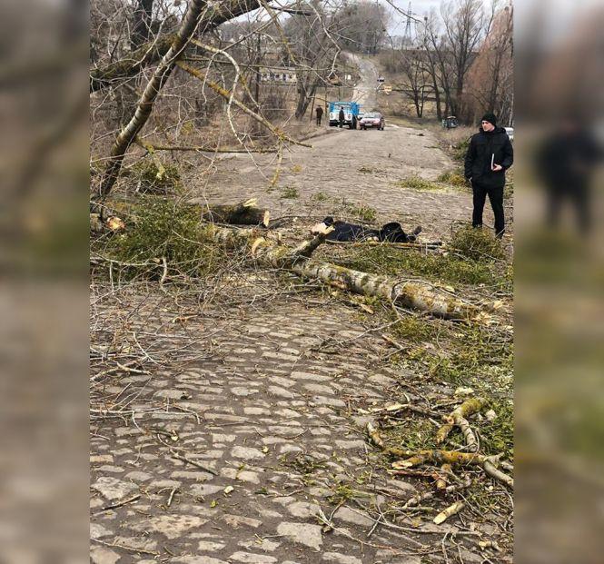 Трагедія в Хмільнику: через шквальний вітер загинула жінка, фото №1 на сайті 20minut.ua