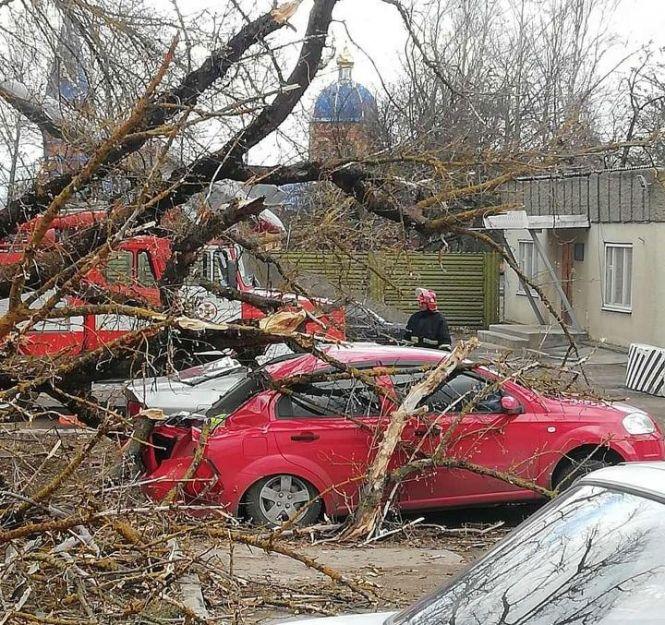 Новини Хмельницького - фото з Повалені дерева і зірвані дахи: що наробила негода на Хмельниччині Повалені дерева і зірвані дахи: що наробила негода на Хмельниччині, фото №5 на сайті vsim.ua