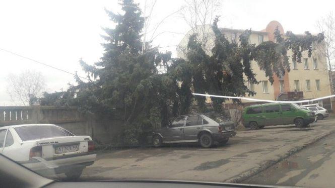 Вітер зриває дерева і стовпи: наслідки негоди у Вінниці, фото №7 на сайті 20minut.ua