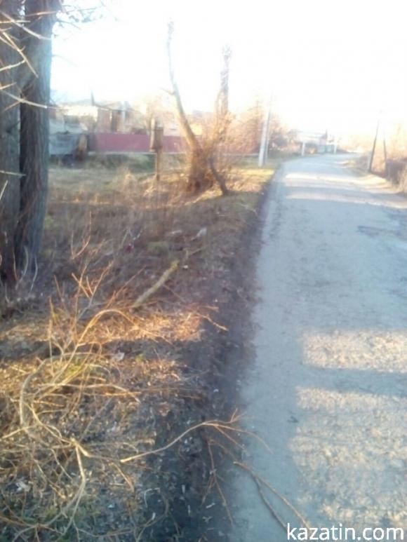 Село Козятин після буревію, фото №6 на сайті 20minut.ua