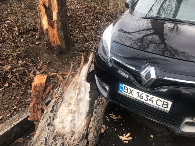 Новини Хмельницького - фото з Повалені дерева і зірвані дахи: що наробила негода на Хмельниччині Повалені дерева і зірвані дахи: що наробила негода на Хмельниччині, фото №2 на сайті vsim.ua