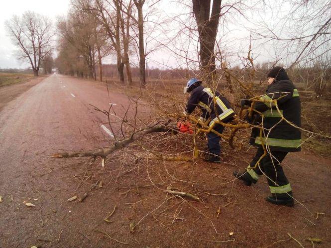 Через сильні пориви вітру на Житомирщині повалило дерева: 12 населених пунктів залишились без електрики, фото №1 на сайті 20minut.ua