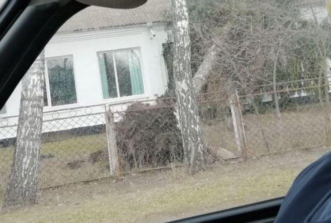 Новини Хмельницького - фото з Повалені дерева і зірвані дахи: що наробила негода на Хмельниччині Повалені дерева і зірвані дахи: що наробила негода на Хмельниччині, фото №6 на сайті vsim.ua