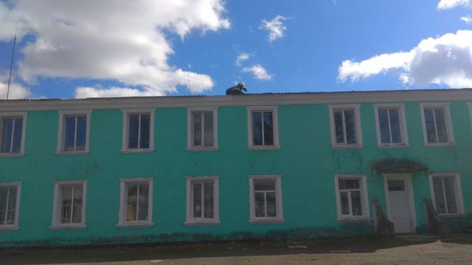 Новини Кам'янця-Подільського - фото з Фотофакт: надзвичайники ліквідовують наслідки негоди Фотофакт: надзвичайники ліквідовують наслідки негоди, фото №1 на сайті 20minut.ua