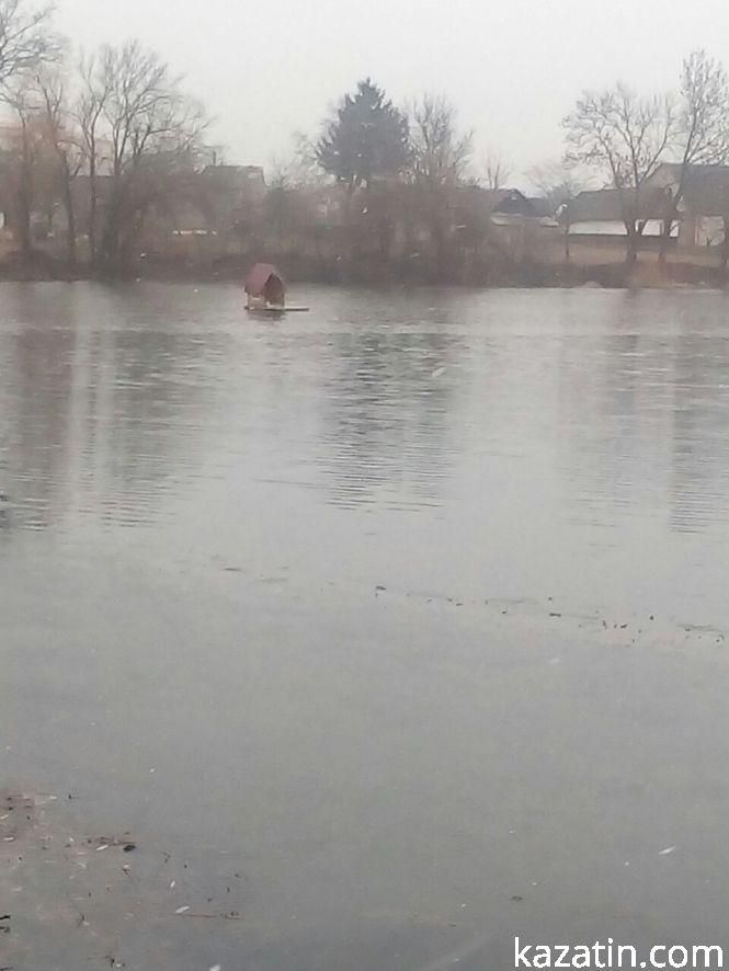 Козятин сьогодні —  ті ж ями, те ж сміття і ... лебеді повернулись, фото №5 на сайті 20minut.ua