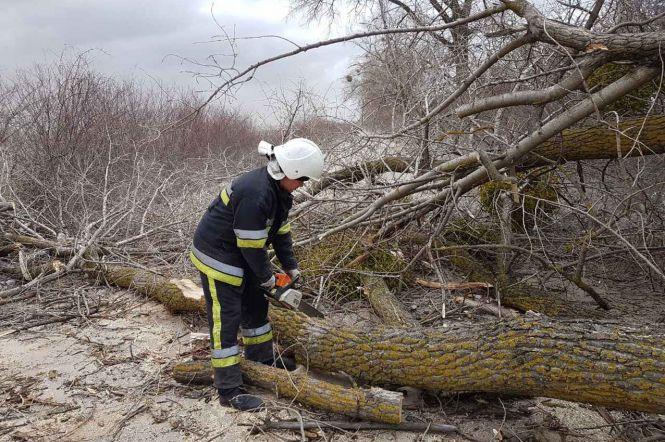 Понад 300 населених пунктів на Хмельниччині залишилося без світла через вітер, фото №2 на сайті vsim.ua