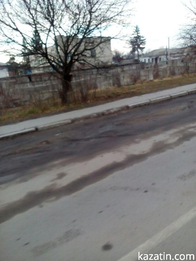 Козятин сьогодні —  ті ж ями, те ж сміття і ... лебеді повернулись, фото №3 на сайті 20minut.ua