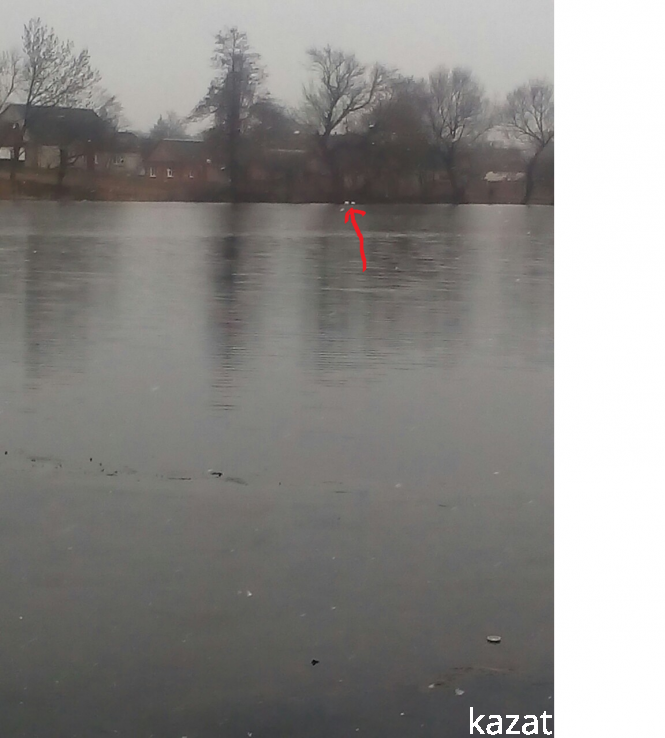 Козятин сьогодні —  ті ж ями, те ж сміття і ... лебеді повернулись, фото №6 на сайті 20minut.ua