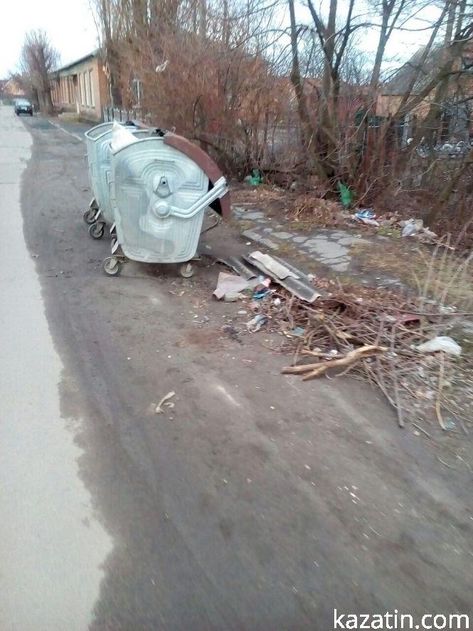 Козятин сьогодні —  ті ж ями, те ж сміття і ... лебеді повернулись, фото №1 на сайті 20minut.ua