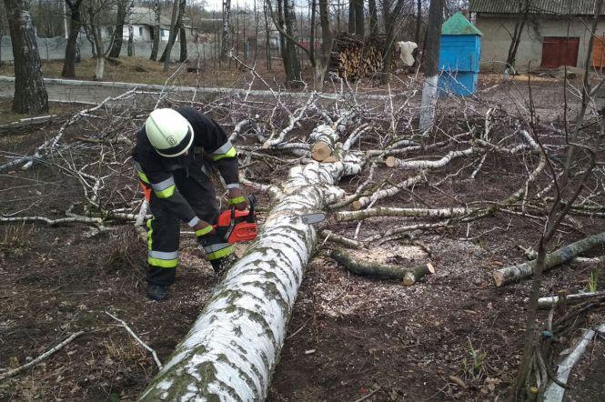Понад 300 населених пунктів на Хмельниччині залишилося без світла через вітер, фото №1 на сайті vsim.ua