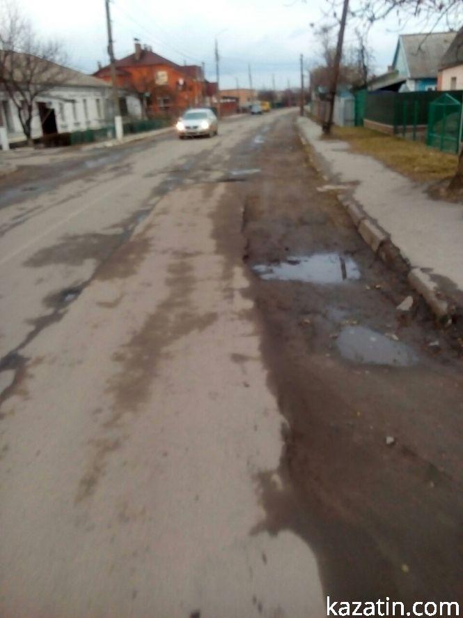 Козятин сьогодні —  ті ж ями, те ж сміття і ... лебеді повернулись, фото №2 на сайті 20minut.ua