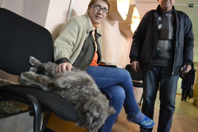 Новини Вінниці - фото з Кіт у музеї: як живе «старший науковий співробітник» краєзнавчого музею на ім'я Шпатель Кіт у музеї: як живе «старший науковий співробітник» краєзнавчого музею на ім'я Шпатель, фото №1 на сайті 20minut.ua