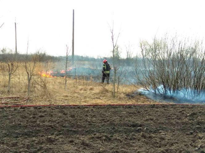 Житомирська область: за добу вогнеборцями області ліквідовано 4 загоряння минулорічної сухої рослинності, фото №1 на сайті 20minut.ua