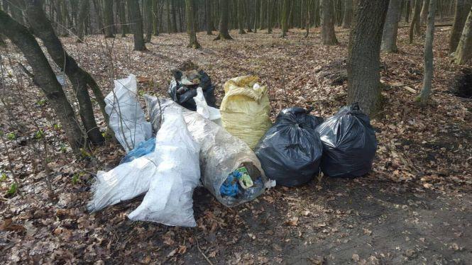 Тернополяни прибрали частину лісу в Кутківцях. Зібрали більше 70 мішків сміття, фото №3 на сайті 20minut.ua