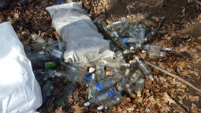 Тернополяни прибрали частину лісу в Кутківцях. Зібрали більше 70 мішків сміття, фото №1 на сайті 20minut.ua