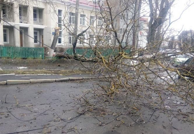 Новини Хмельницького - фото з Атака негоди, порно у центрі міста та немовля під колесами: ТОП-5 новин тижня у Хмельницькому Атака негоди, порно у центрі міста та немовля під колесами: ТОП-5 новин тижня у Хмельницькому, фото №1 на сайті vsim.ua