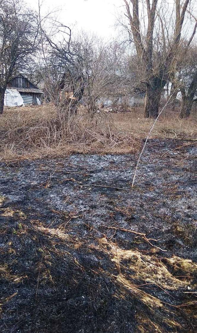Житомирська область: за добу вогнеборцями області ліквідовано 8 загорянь минулорічної сухої рослинності, фото №1 на сайті 20minut.ua