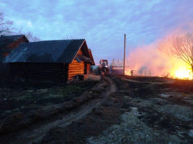 В Овруцькому районі від палаючого сухостою ледь не вигоріло напівпустуюче село, фото №3 на сайті 20minut.ua