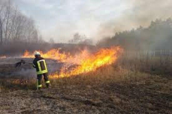 Згорів трансформатор, суха трава та кілька споруд, фото №1 на сайті 20minut.ua