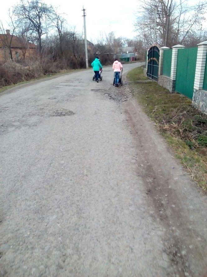 Козятин сьогодні: зрізані гілки, лебеді та передвиборчі збори, фото №6 на сайті 20minut.ua