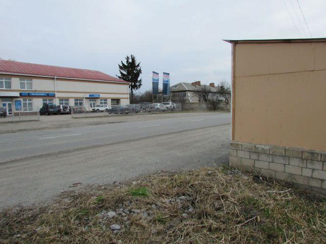 Козятин сьогодні: зрізані гілки, лебеді та передвиборчі збори, фото №3 на сайті 20minut.ua