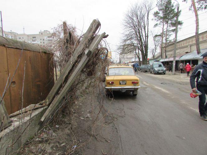 Козятин сьогодні: зрізані гілки, лебеді та передвиборчі збори, фото №4 на сайті 20minut.ua