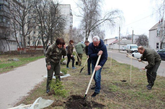 Міні-ліс висадили в Житомирі на відзначення Всесвітього дня лісу, фото №2 на сайті 20minut.ua