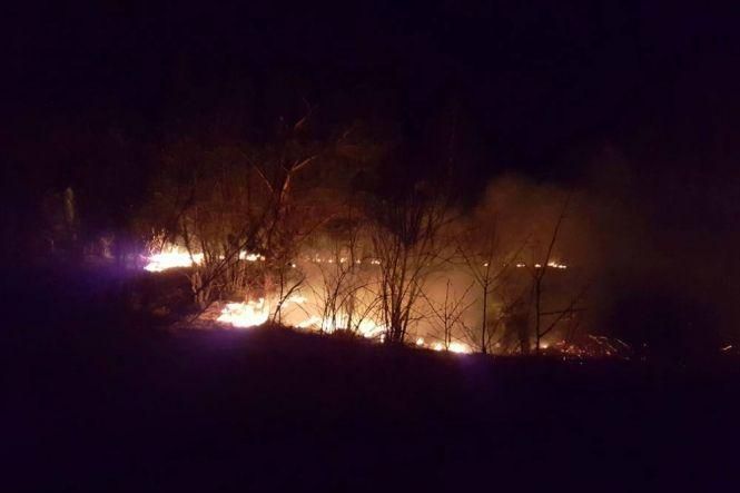 На Тернопільщині масово спалюють суху траву: горять гектари полів, фото №3 на сайті 20minut.ua