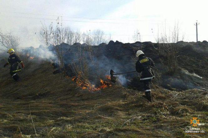На Тернопільщині масово спалюють суху траву: горять гектари полів, фото №1 на сайті 20minut.ua